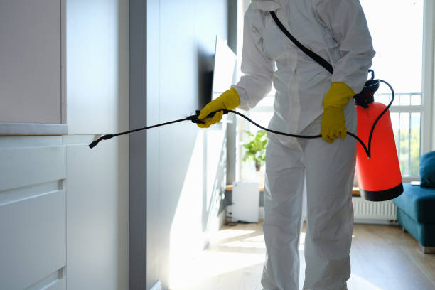 Best Commercial Mold Removal  in Buffalo, TX
