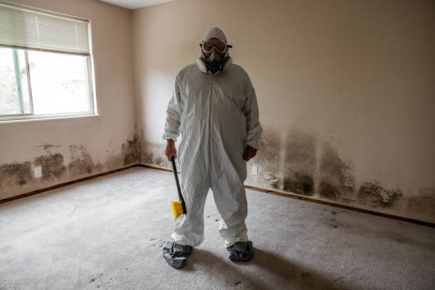 Professional Mold Removal in Buffalo, TX